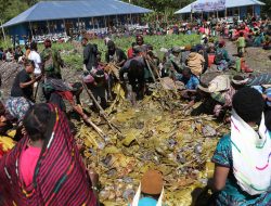 Bakar Batu di Hitadipa, Hangatkan Kebersamaan Sambut Natal 2025 Bersama Pangkogabwilhan III