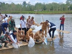 Jaga Ekosistem dan Ketahanan Pangan, Pemkab OKU Selatan Tebar 110 Ribu Bibit Ikan di Kisam Tinggi
