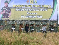 Padi Gogo Menguning, Korem 044/Gapo dan Petani Perkuat Ketahanan Pangan