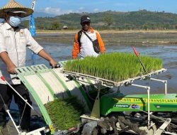 Soal Rencana Impor Beras dari AS, Johan Rosihan: Jangan Biarkan Petani Gigit Jari!
