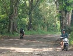 PJU Jalan Parungkuda–Pakuwon Sukabumi Padam Berbulan-bulan & belum ada lampu tabahan Warga Resah Takut Begal.