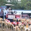 Presiden Prabowo Pimpin Panen Raya Jagung di Tuban, Targetkan Cadangan Nasional dan Ekspor