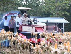 Presiden Prabowo Pimpin Panen Raya Jagung di Tuban, Targetkan Cadangan Nasional dan Ekspor