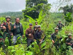 Melalui Patroli Keamanan Gabungan, Satgas Swasembada Yonif 643/Wns Koops TNI Habema Berhasil Temukan Ladang Ganja