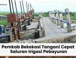 Antisipasi Kekeringan dan Banjir, Pemkab Bekasi Tangani Cepat Saluran Irigasi Pebayuran