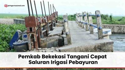 Antisipasi Kekeringan dan Banjir, Pemkab Bekasi Tangani Cepat Saluran Irigasi Pebayuran