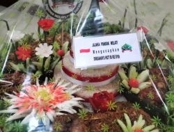 HUT RI ke-81, Jajaka Pondok Melati Raih Juara III Lomba Karya Tumpeng Kemerdekaan.