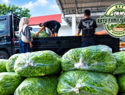 Koperasi RFF Sukabumi Perkuat Rantai Pasok Pangan, Petani Lokal Dibina dan Hasil Panen Diserap