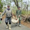 Dulu Sulit Dilalui, Kini Mulus! Warga Mekarjaya Sambut Bahagia Hasil TMMD ke-130.