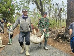 Dulu Sulit Dilalui, Kini Mulus! Warga Mekarjaya Sambut Bahagia Hasil TMMD ke-130.