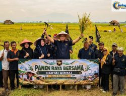 Panen Raya Perdana di Bekasi, Partai Ummat Bidik Kesejahteraan Petani dan Harga Gabah yang Layak