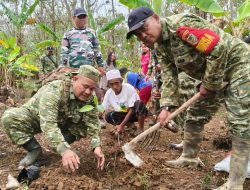 TMMD ke-130 Kodim 0622 Sukabumi Tanam 500 Pohon, TNI dan Warga Siapkan Warisan Hijau bagi Generasi Mendatang.